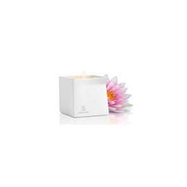 Afterglow Pink Lotus Massage Oil Candle - 4.5 oz.