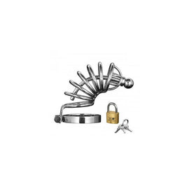 Asylum 6 Ring Locking  Chastity Cage - Small-medium
