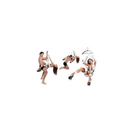 Fetish Fantasy Series Fantasy Bondage Swing