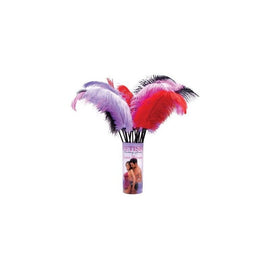 Fetish Fantasy Love Plumes 12 Piece Display