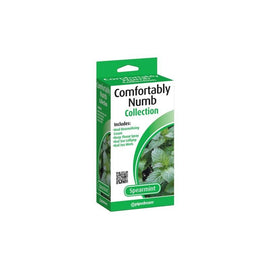Comfortably Numb Pleasure Kit - Spearmint