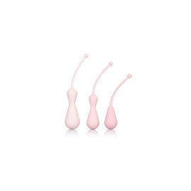 Inspire Weighted Silicone Kegel Training Kit